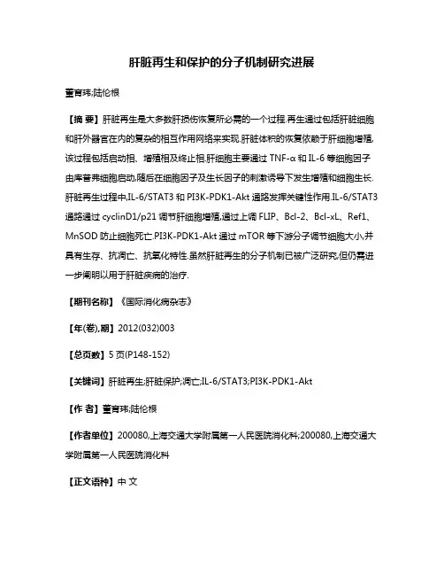 肝脏再生和保护的分子机制研究进展