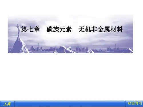 第一节 碳族元素