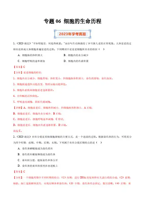 专题06 细胞的生命历程(解析版)-备战2024年高中学业水平考试生物真题分类汇编