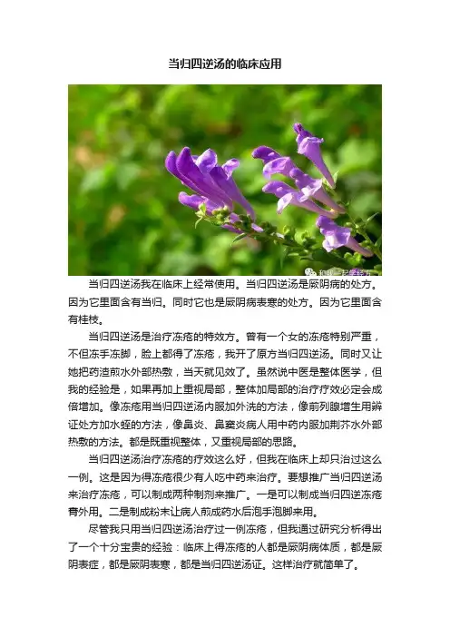 当归四逆汤的临床应用