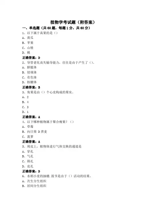 植物学考试题(附答案)