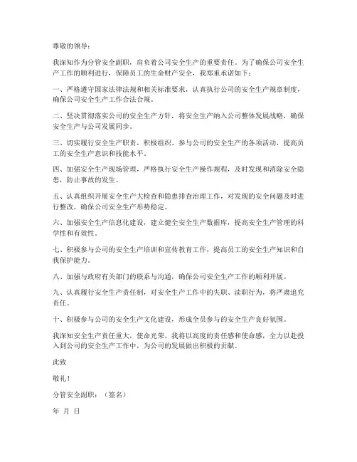 分管安全副职承诺书