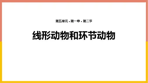 人教版八年级生物上册 线形动物和环节动物 新课件新版