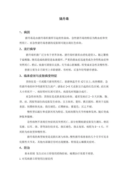 猪丹毒治疗方案