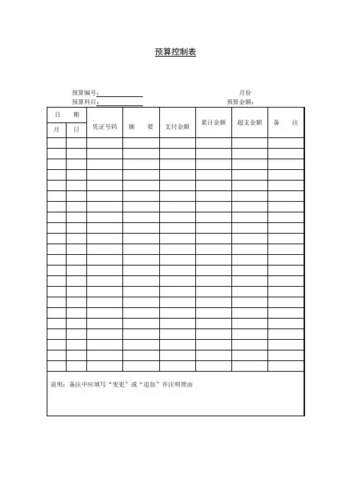 预算控制表格式