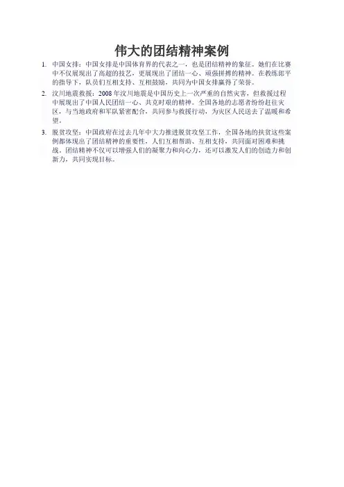 伟大的团结精神案例