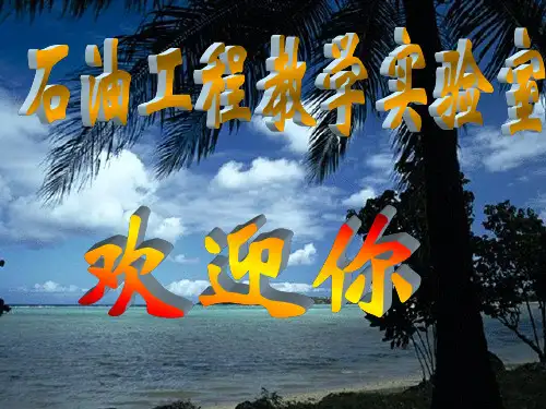 油层物理实验12