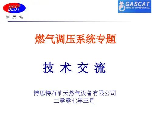 GASCAT-调压阀手册 ppt