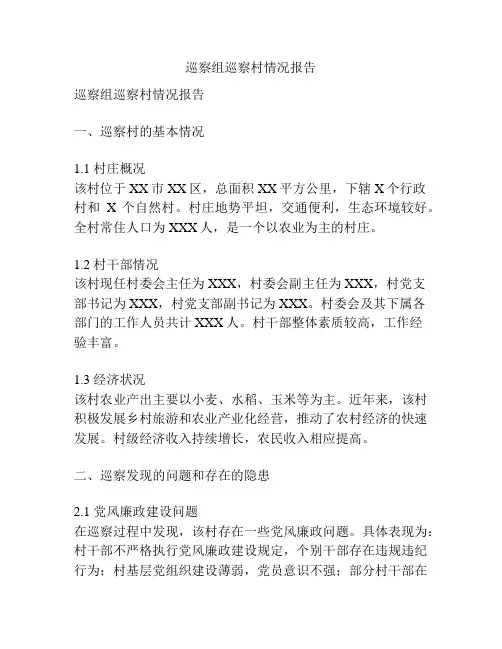 巡察组巡察村情况报告