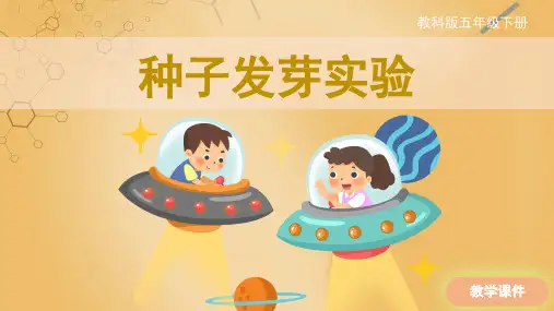 教科版小学五年级科学下册 《种子发芽实验》原创课件