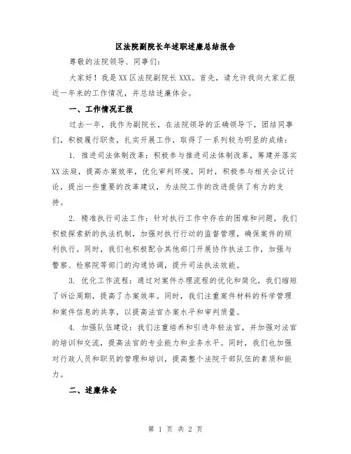 区法院副院长年述职述廉总结报告