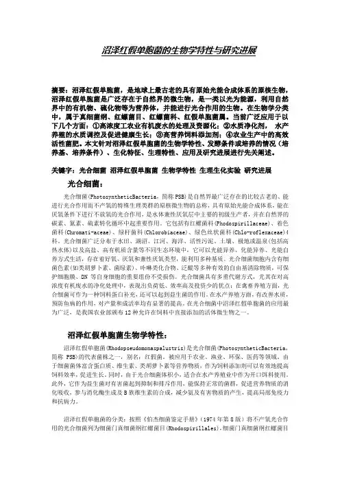 沼泽红假单胞菌