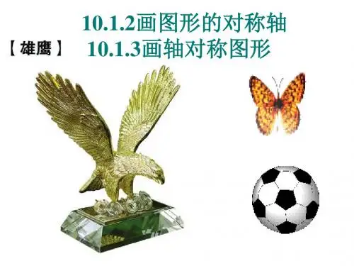 画轴对称图形(实用)