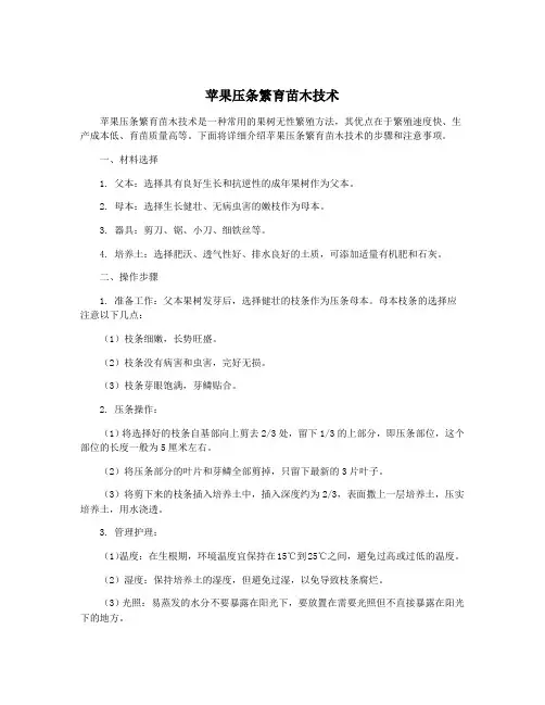 苹果压条繁育苗木技术
