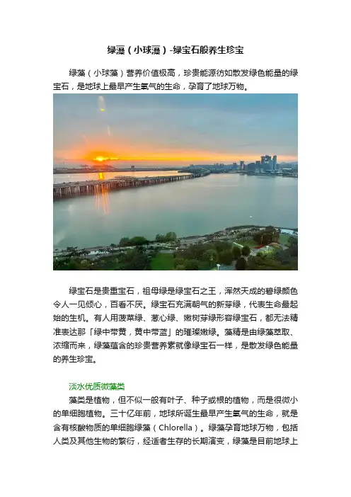 绿藻（小球藻）-绿宝石般养生珍宝