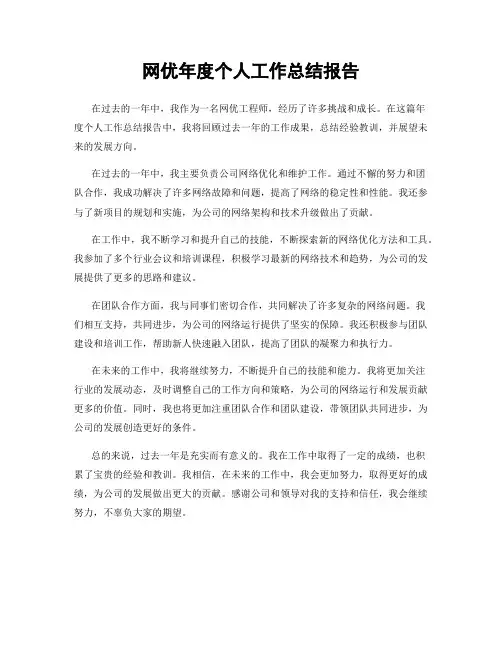 网优年度个人工作总结报告