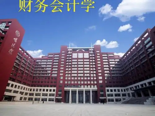 某公司存货管理与财务会计分析概述(PPT64张)