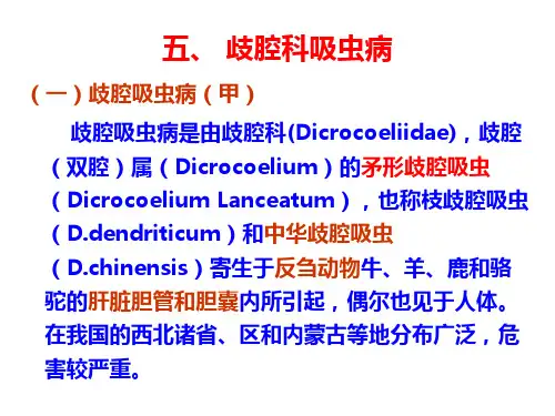 中华双腔吸虫病