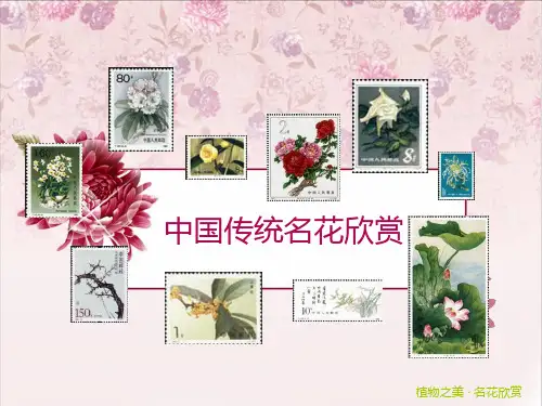 中国传统名花欣赏·兰花