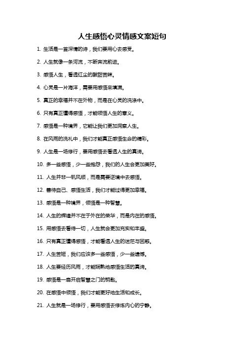 人生感悟心灵情感文案短句