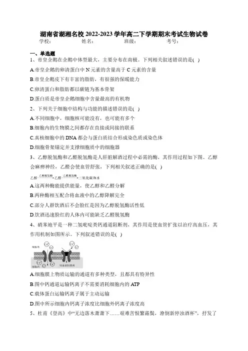 湖南省湖湘名校2022-2023学年高二下学期期末考试生物试卷(含答案)