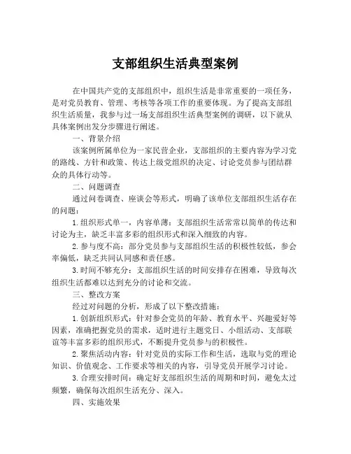 支部组织生活典型案例