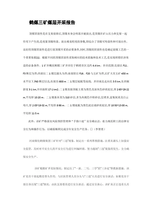 鹤煤三矿煤层开采报告