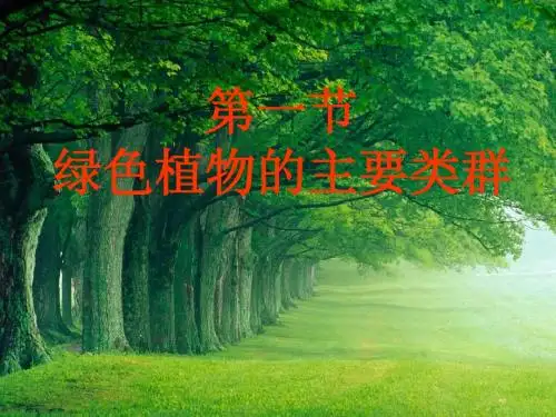 七年级生物绿色植物的主要类群