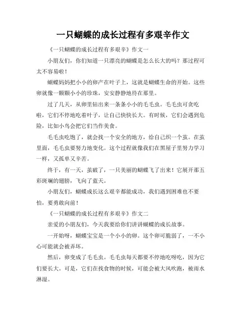 一只蝴蝶的成长过程有多艰辛作文
