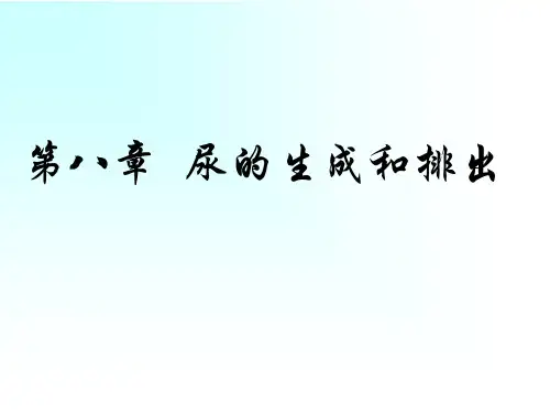 生理学课件：第八章 尿的生成和排出