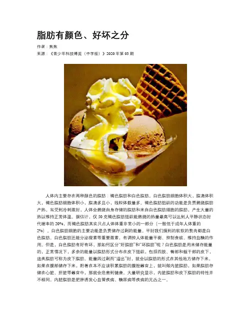 脂肪有颜色、好坏之分