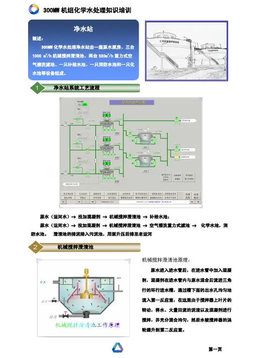 300MW化学水处理培训