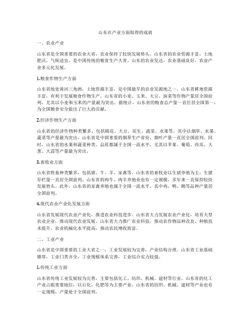 山东在产业方面取得的成就
