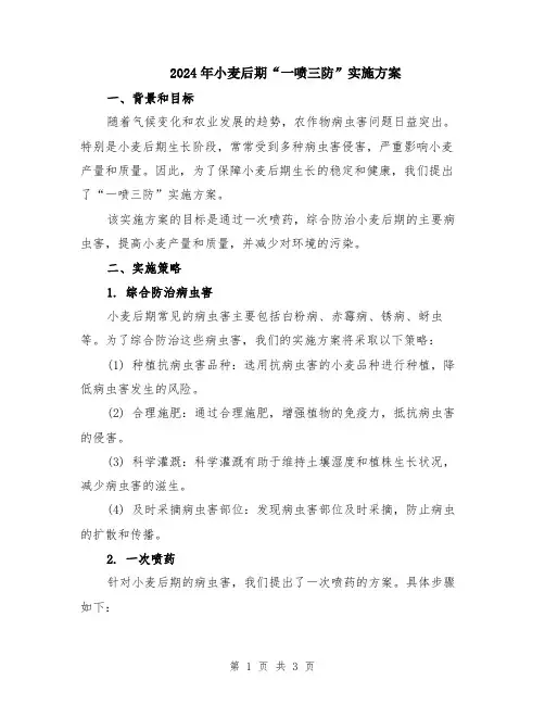 2024年小麦后期“一喷三防”实施方案