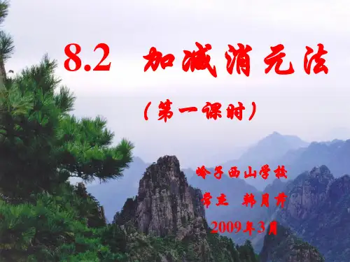 《加减消元——二元一次方程组的解法》ppt课件