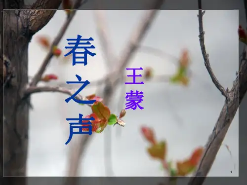 春之声 (实用)ppt课件