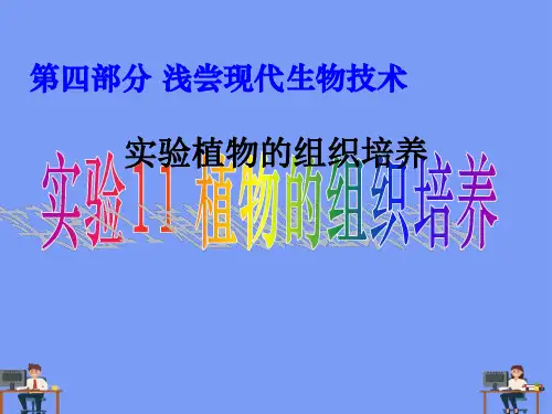 实验植物的组织培养.精选ppt