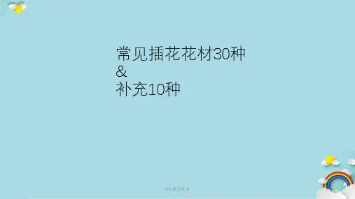 常见插花花材(40种)课件