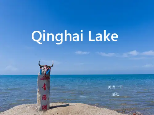 青海湖英文介绍优秀PPT