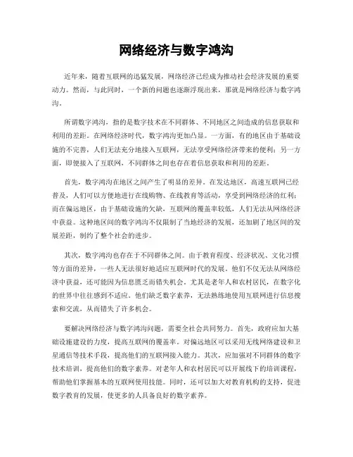 网络经济与数字鸿沟