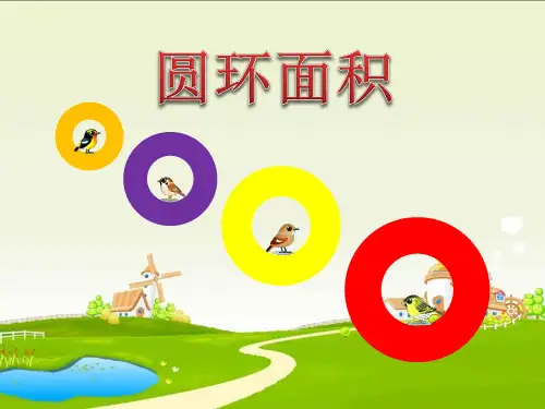 人教版六年级数学第五单元《圆环的面积》