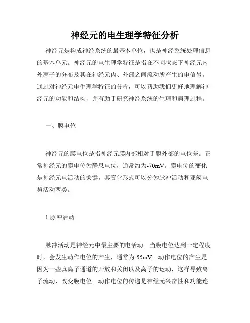 神经元的电生理学特征分析