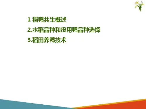 水稻生产新技术—稻鸭共生绿色生产技术(北方水稻生产课件)