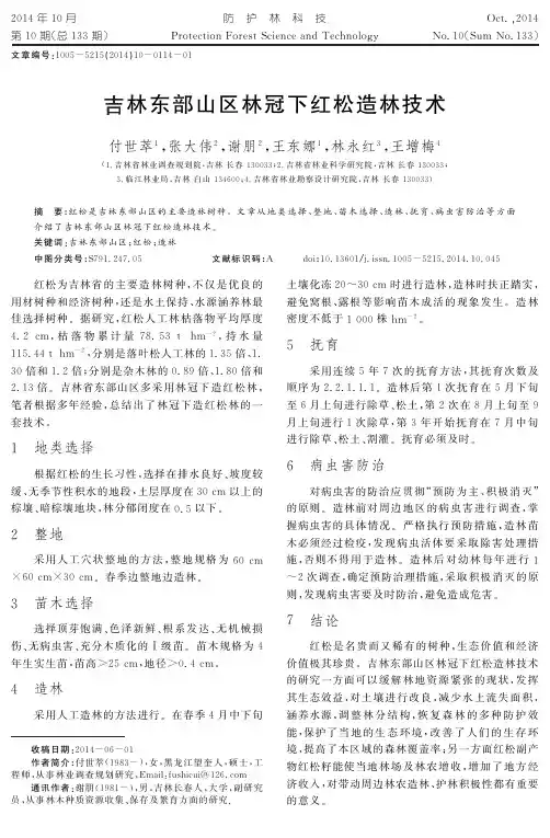 吉林东部山区林冠下红松造林技术