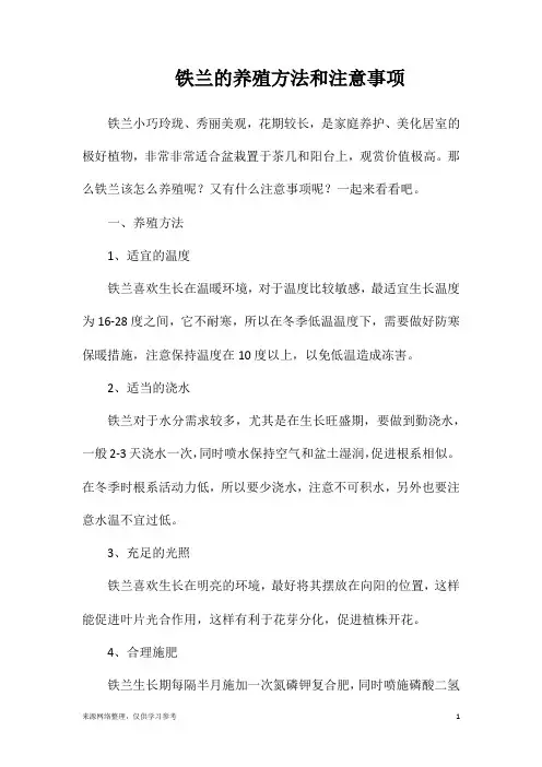 铁兰的养殖方法和注意事项