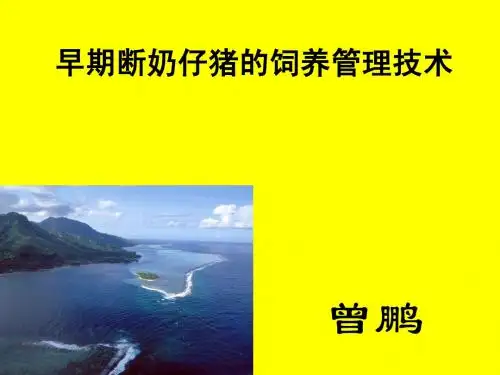 早期断奶