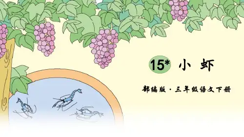 《小虾》课件-三年级下册语文PPT课件