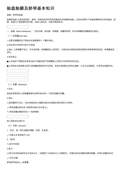 胎盘胎膜及脐带基本知识