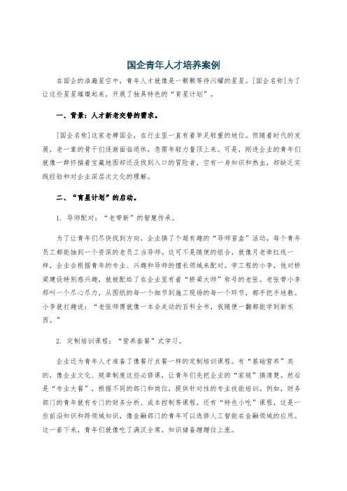 国企青年人才培养案例