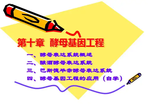第十章  酵母基因工程-08级